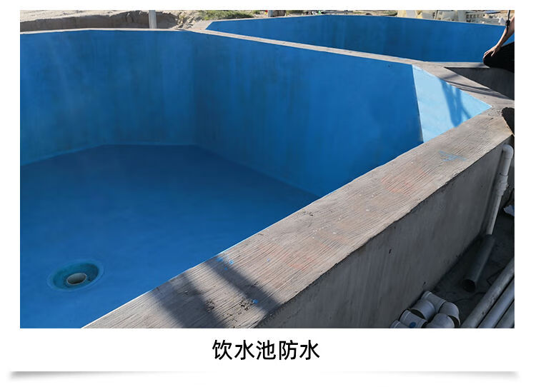材料内外墙平方厕所防水胶补漏屋顶蓝色双组鱼池饮用水池5斤可刷5平方