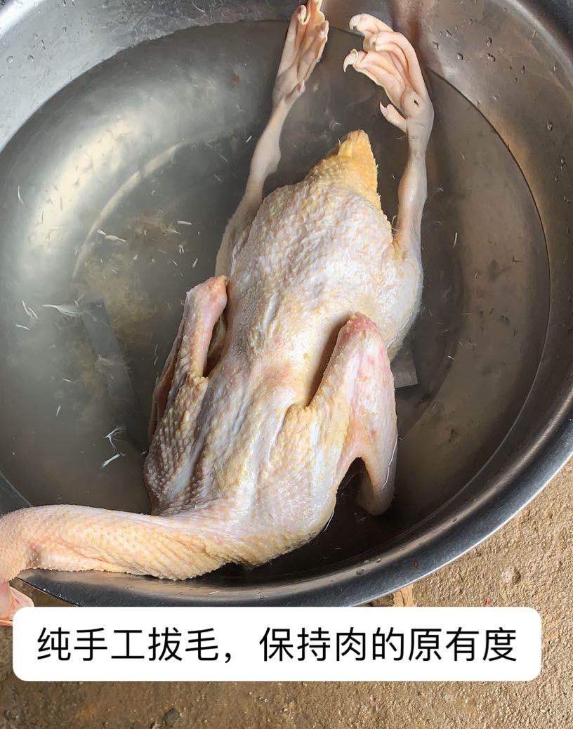 番鸭活体现杀正宗番鸭鸭子活体现杀大番鸭红脸鸭年货批发 母鸭 活体重