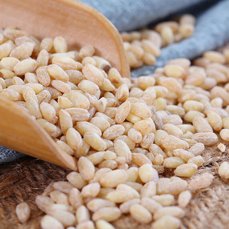 京选小麦仁去皮小麦米农家小麦子脱皮小麦粒粥用麦搭配原料500