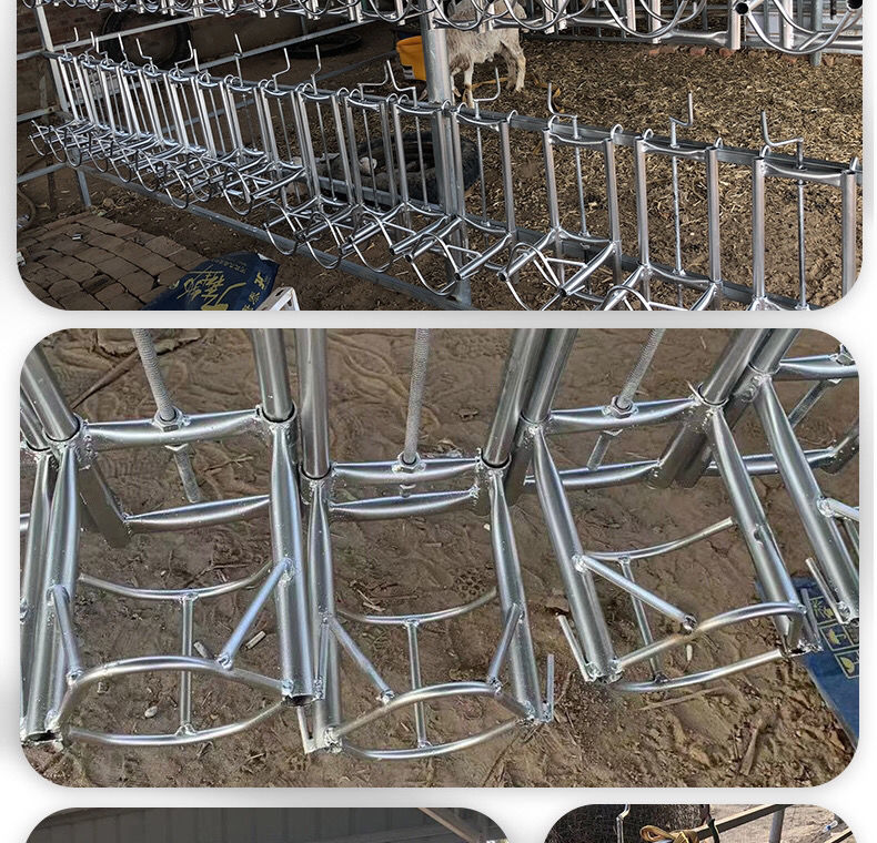 舞万花家恒宝新款升降多功能羊头架子调节输液挤奶配种打羊毛推毛羊头