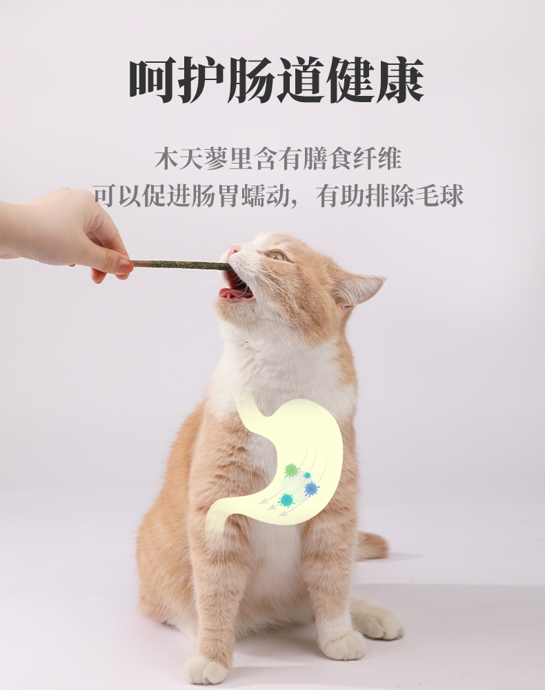 猫咪磨牙洁齿棒木天蓼棒猫薄荷逗猫棒磨牙啃咬棒幼猫特色零食用品lism