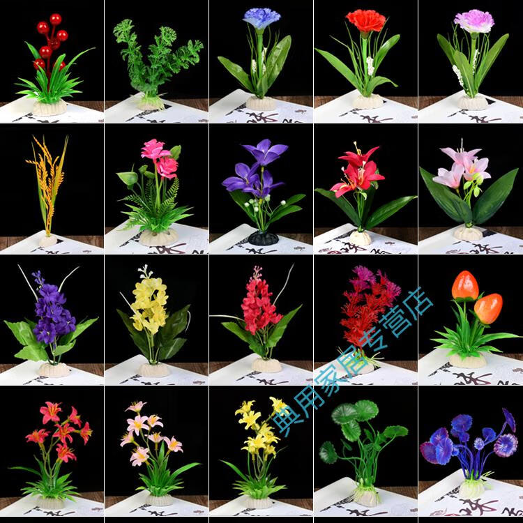 酒店盘饰摆盘装饰创意点缀花草刺身菜品围边意境菜肴拼盘喜宴冷菜 6色