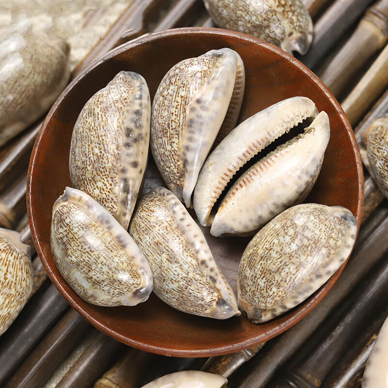 北京同仁堂500克中药材紫贝齿砑螺文贝紫贝文贝南蛇牙齿螺紫贝子