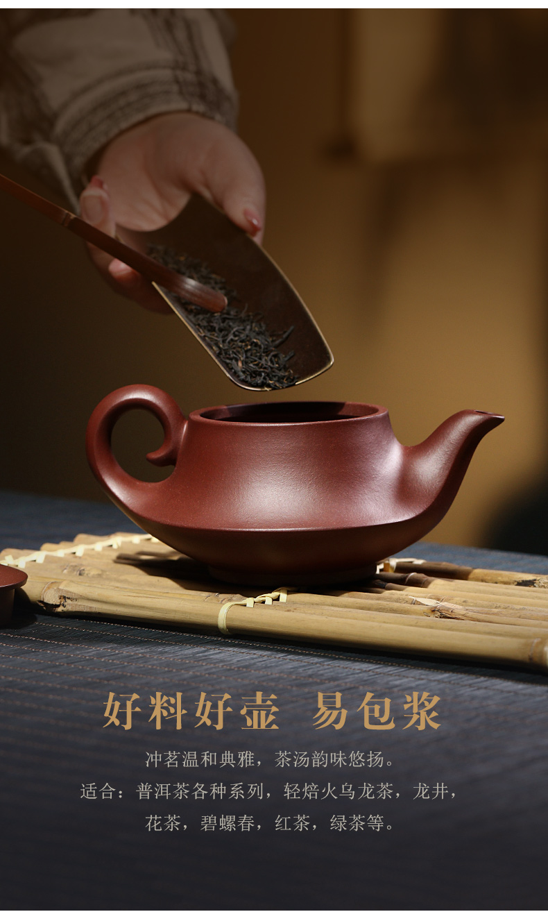 藏壶天下紫砂壶名家戴晨光全手工原矿底槽清功夫茶壶茶具一帆风顺