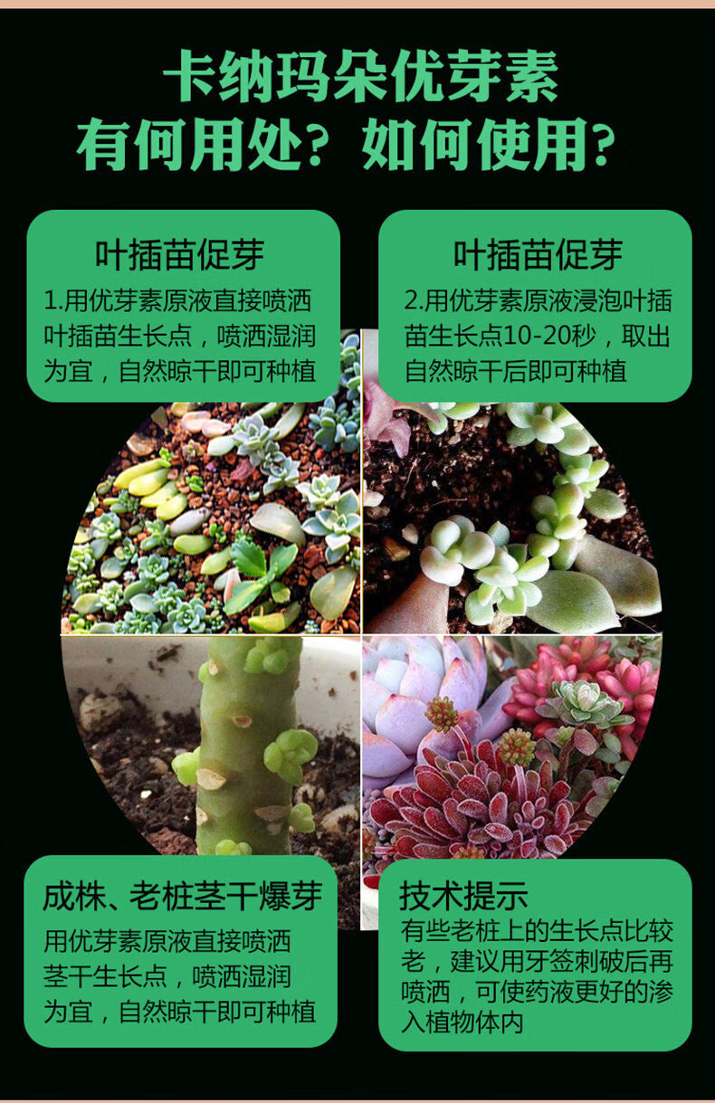 【精选】优芽素多肉植物专用爆芽素细胞分裂素促花芽花卉生长激素 1瓶