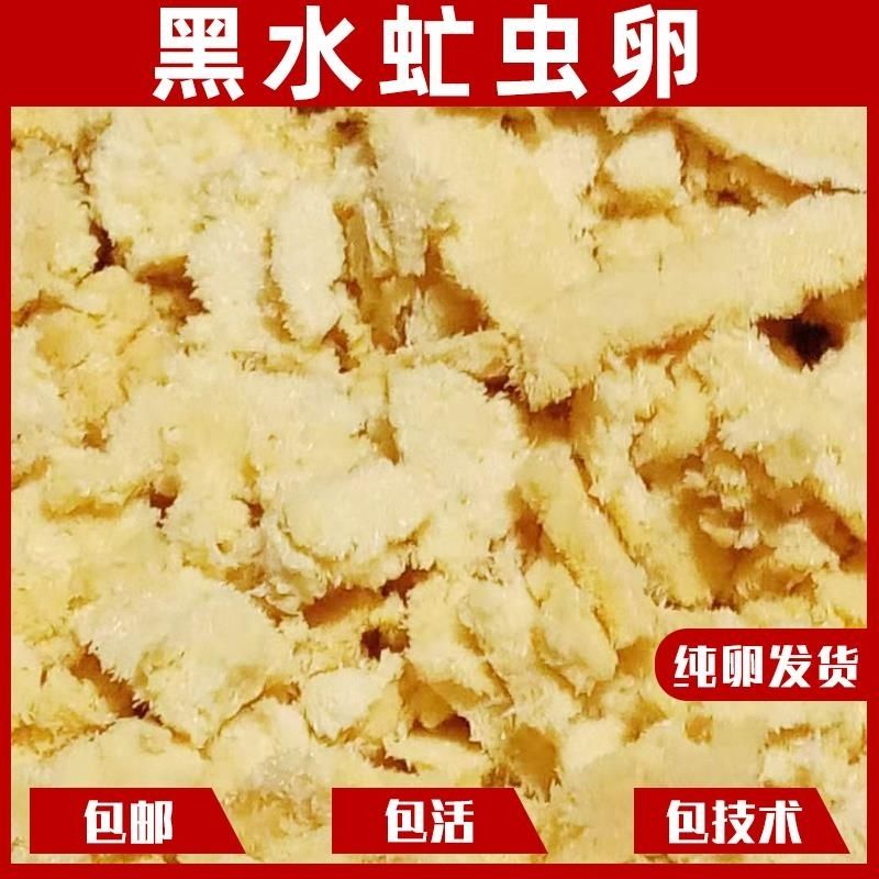 有仁堂黑水虻虫卵欢迎新老客户50克罐