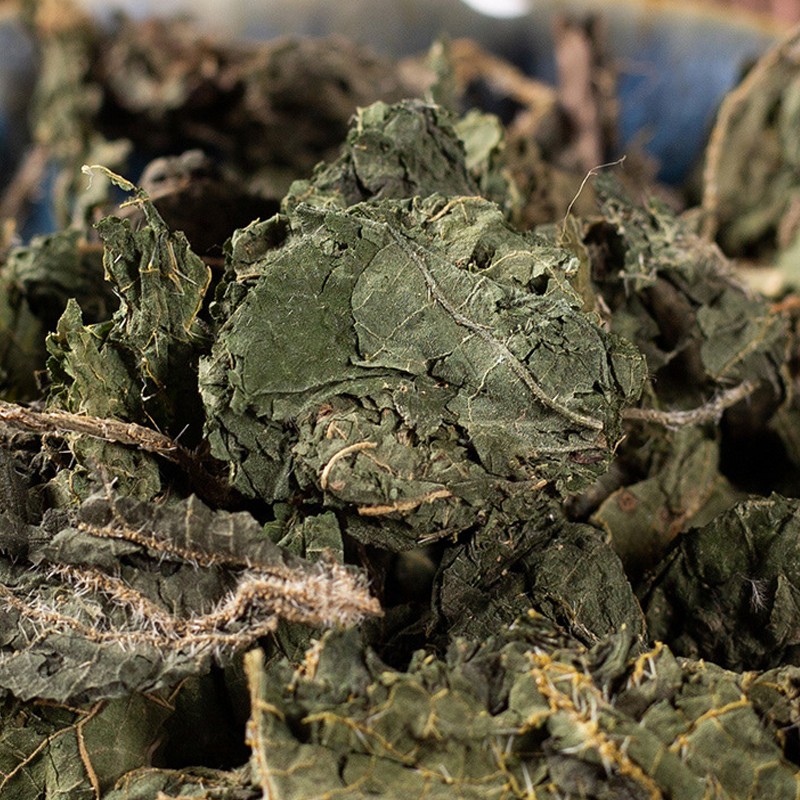 北京同仁堂野生荨麻草500g特级中药材荨麻叶小荨麻小蛇麻草咬人草红活