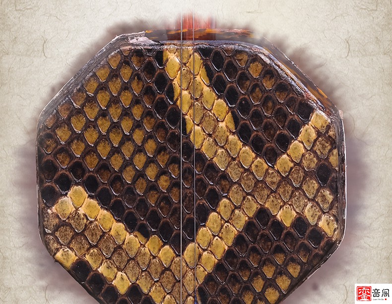 【送礼优选】北京星海花梨木二胡8722-1铜轴六方二胡乐器原厂配件星海