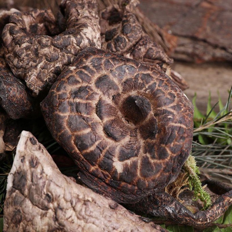 潽禧草堂 中药材 虎掌菌 别名:獐子菌 老鹰菌 黑虎掌 500克