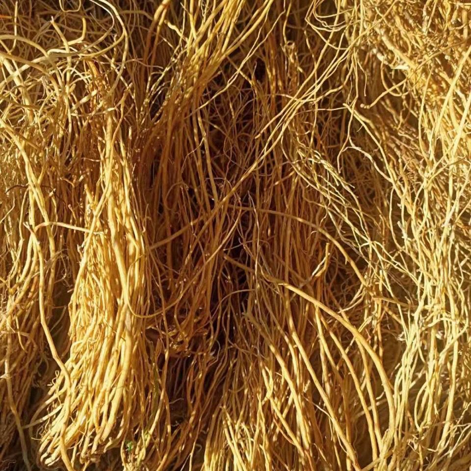 龙胆草中药材整颗龙胆草苦胆草龙胆自然晒干100克云南野生