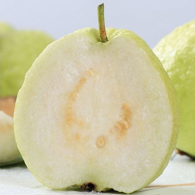 美蒙广东澄海香软糯米白芭乐番石榴新鲜现摘应季水果下单送酸梅粉十年