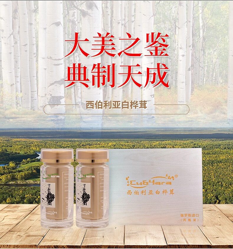 俄罗斯西伯利亚白桦茸精粉桦树茸原装进口