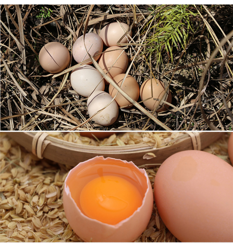 【新鲜鸡蛋30枚】新鲜农家柴鸡蛋 草鸡蛋笨鸡蛋 谷物喂养 早餐食材 40