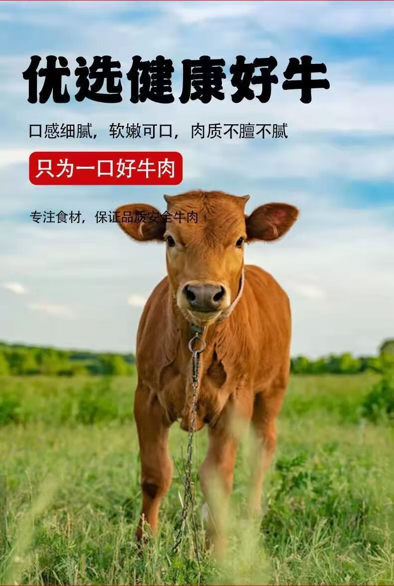 国产牛腩肉新鲜原切牛腩黄牛肉农家生牛肉牛腩生鲜牛肉新鲜2000g