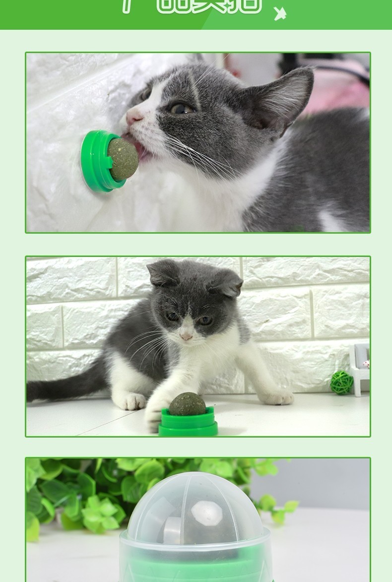 猫咪玩具猫薄荷球逗猫玩具不倒翁木天蓼玲珑球磨牙棒逗猫棒猫零食猫咪