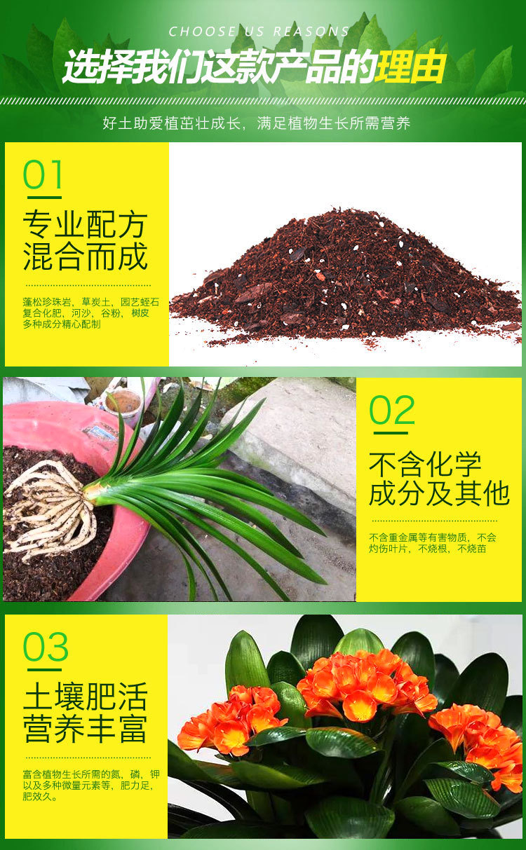 4升君子兰专用土【图片 价格 品牌 报价】-京东