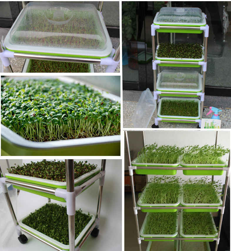 豆芽菜育苗盘带盖托盘育苗盆芽苗菜种植架子无土水培蔬菜小麦 单排6层