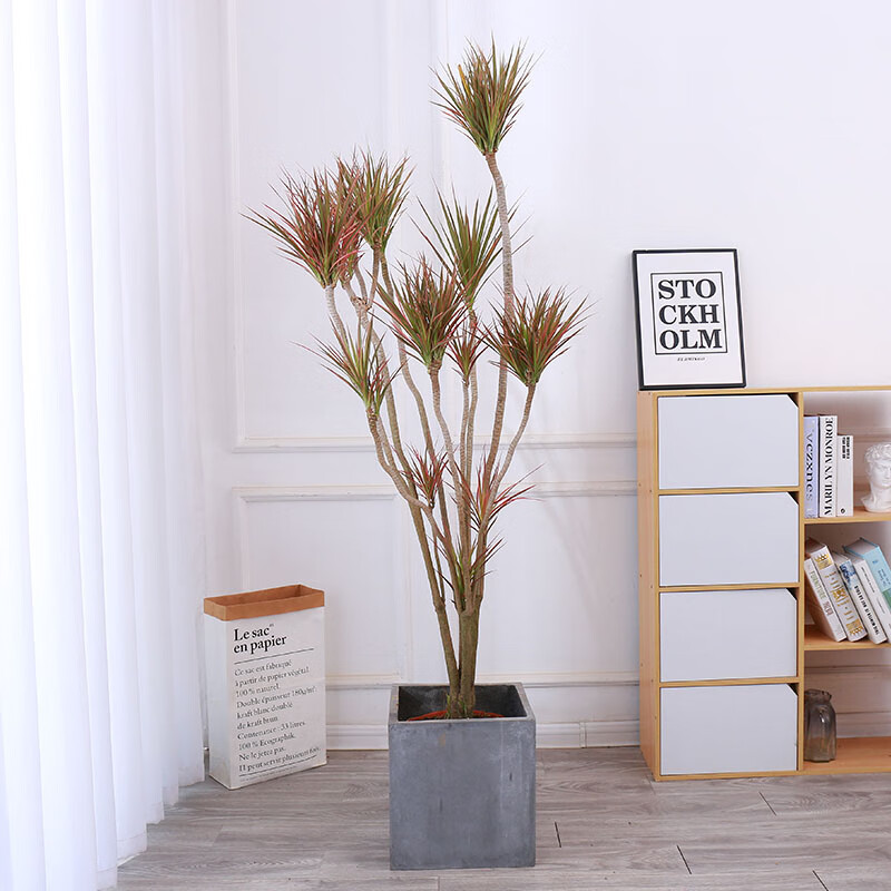 造型千年木盆栽日系风格室内七彩龙血树绿植前台客厅店面大型植物造型