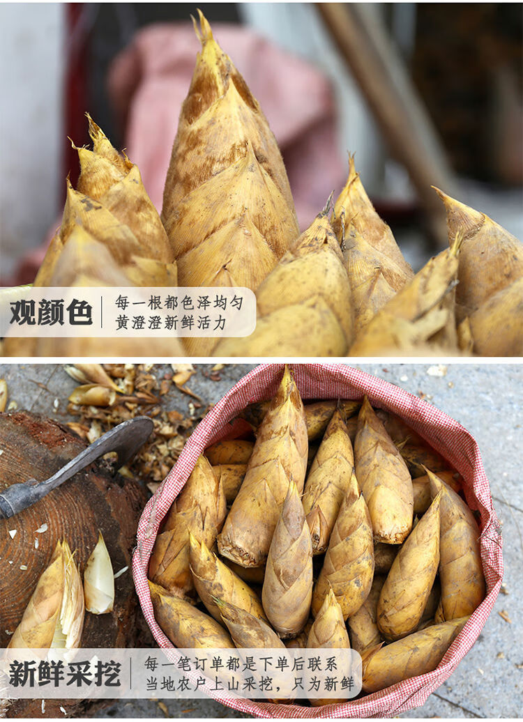 冬笋新鲜现挖现发临安天目山野生毛竹笋当季蔬菜鲜笋嫩竹笋5斤装现挖