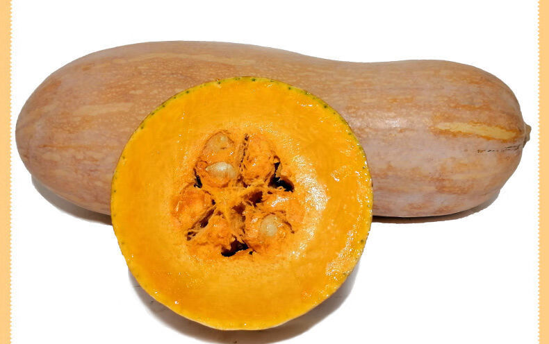 蜜本老南瓜批发正宗云南老南瓜甜糯老品种蔬菜非板栗南瓜贝贝南瓜特惠