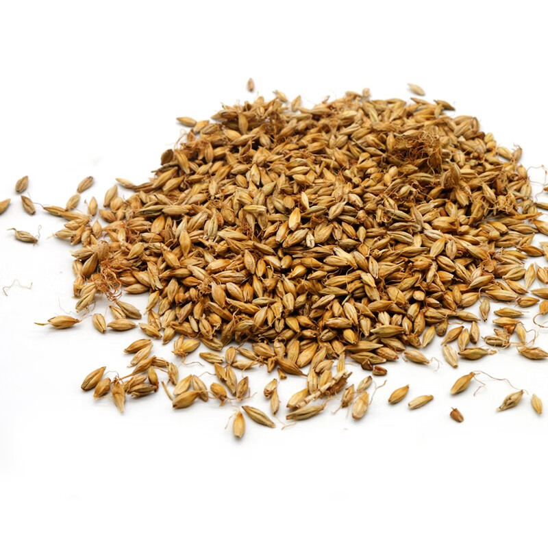 汇茸堂正宗生麦芽中药材药用500克另售炒麦芽新晒大麦芽回奶可配独脚