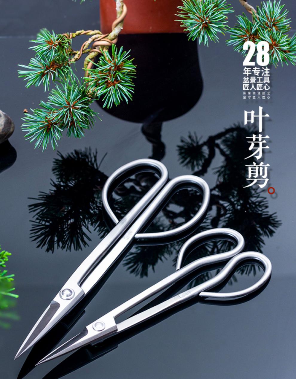 花姬 叶芽剪修芽切不锈钢盆景修剪造型专用工具制作枝剪刀园艺 鼎木
