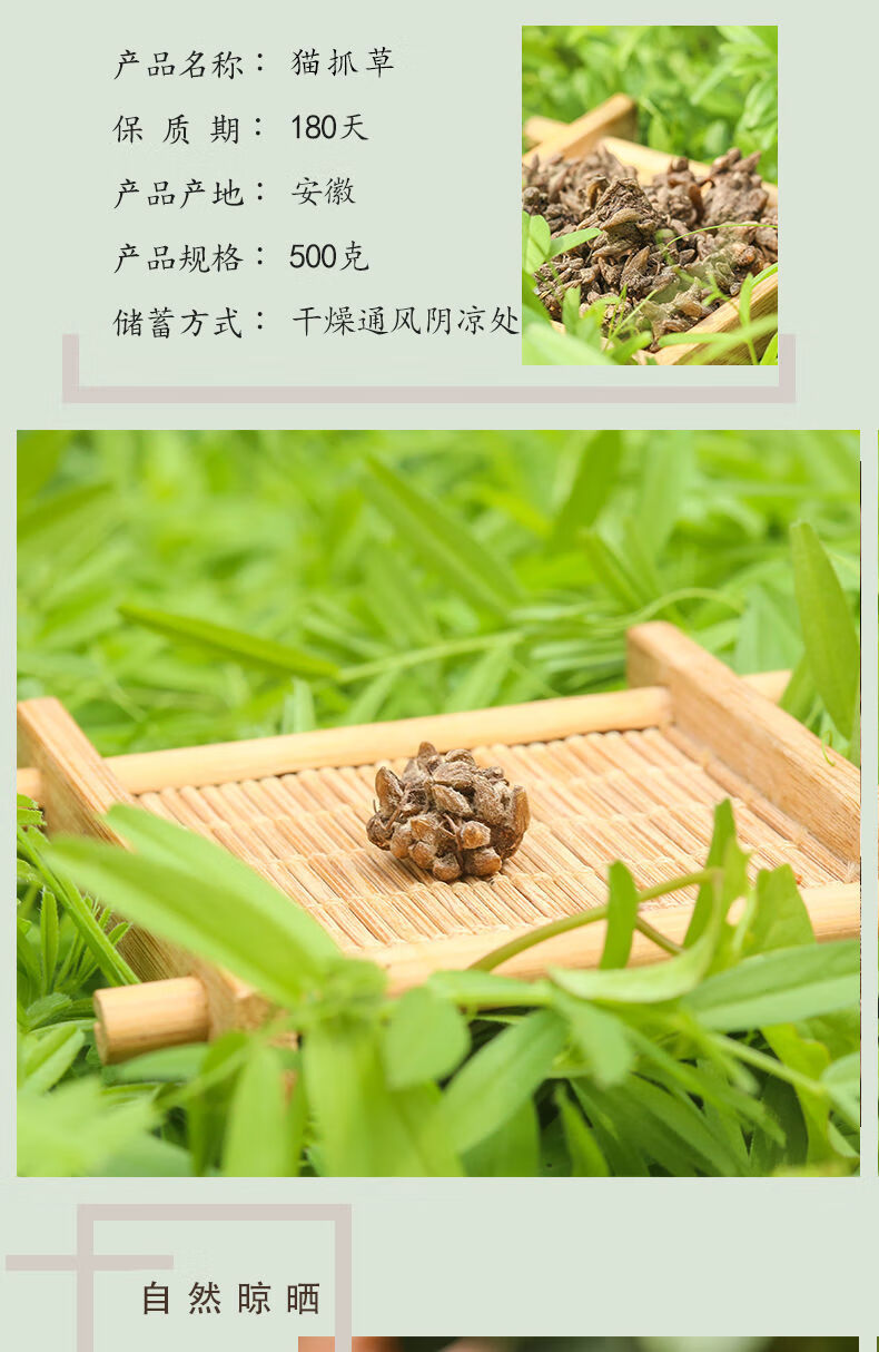 北京同仁堂中药材猫爪草中药猫爪草野生新鲜猫抓草水洗猫瓜草无硫熏