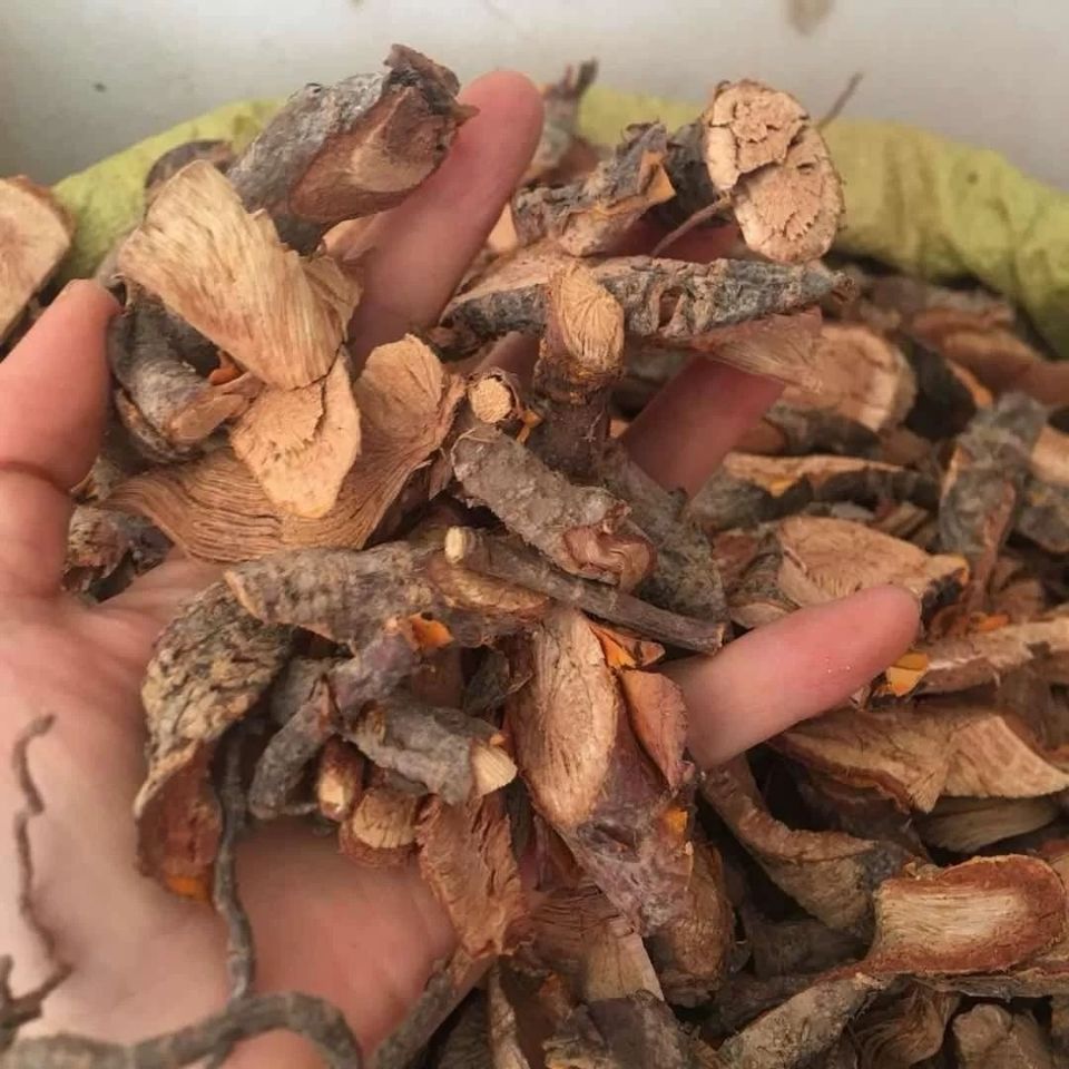 伟博中药材 南蛇藤 穿山龙 穿地龙 全根干品500克 中药材 南蛇藤