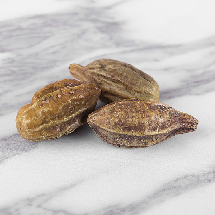 北京同仁堂原料诃子新货诃子肉中药材诃子肉柯子金柯子大金果100g500g