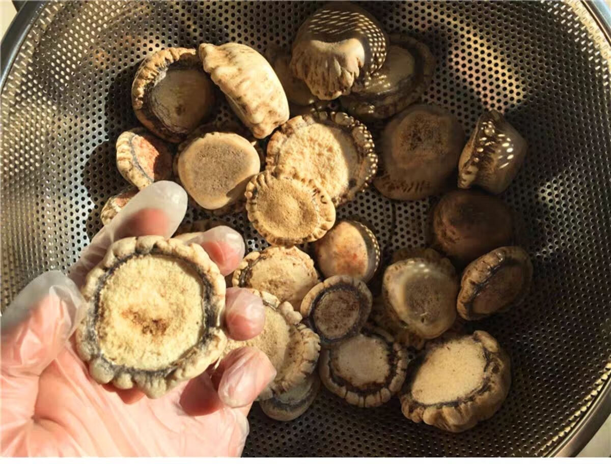 梅花鹿鹿角帽粉鹿角粉鹿托盘粉纯正梅花鹿托盘通乳腺鹿乡鹿托盘粉梅花