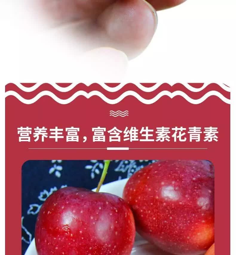 东北特产鸡心果1斤-5斤装锦绣海棠小苹果沙果新鲜水果 大秋果 大秋果5