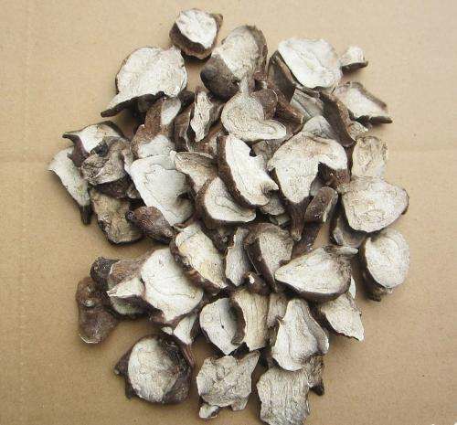 面瘫牵正散【顺丰保密配送】博济康 【买2,送,1】面瘫牵正 牵正散同仁