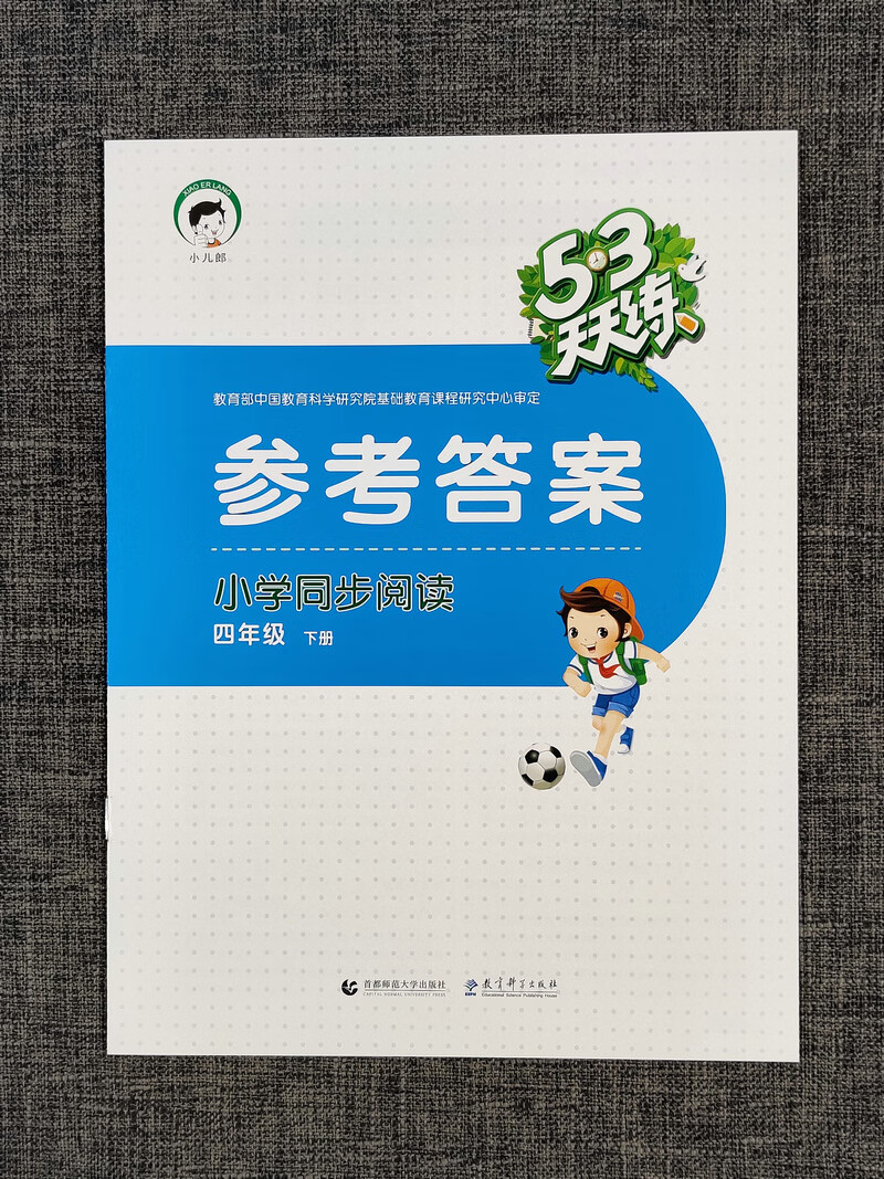 现货2020春53天天练小学同步阅读 语文四年级下册部编版人教版rj通用