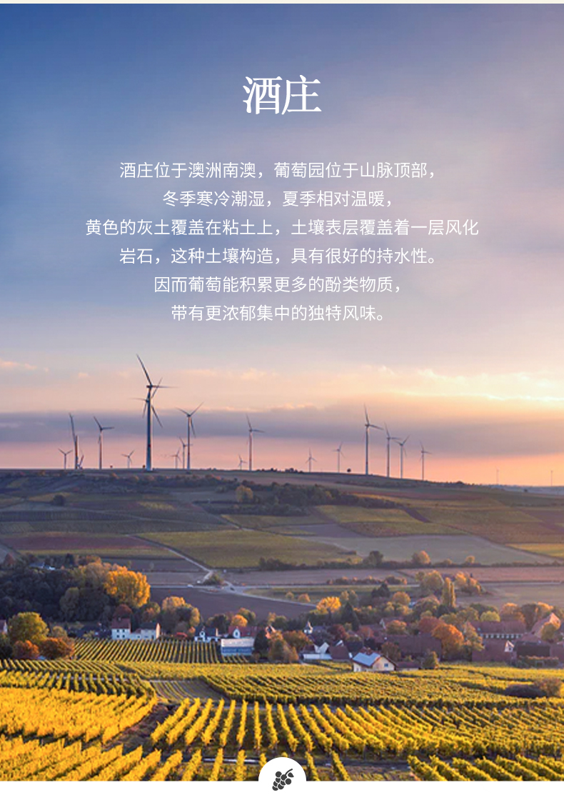 澳大利亚进口红酒帝菲堡袋鼠14度赤霞珠干红葡萄酒750ml6