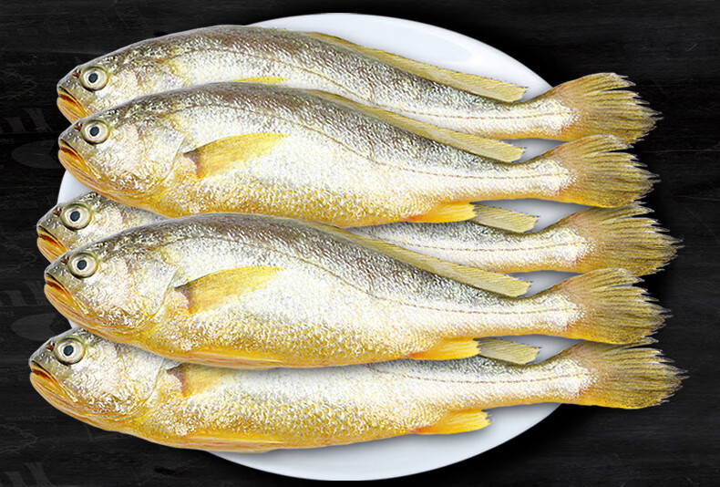 小黄花鱼黄鱼鲞新鲜海鲜水产冷冻生鲜活海产品深海冰鲜鱼冰冻【图片