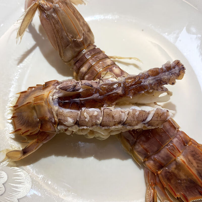 豪鼎汇皮皮虾舟山鲜活虾爬子虾姑虾婆懒尿虾富贵虾生鲜大号公母混搭18