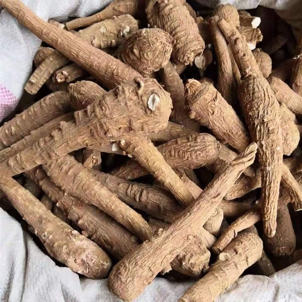 白芷个新货白芷香料卤料四川白止条白芷根精选大白芷个【益补萃】 500