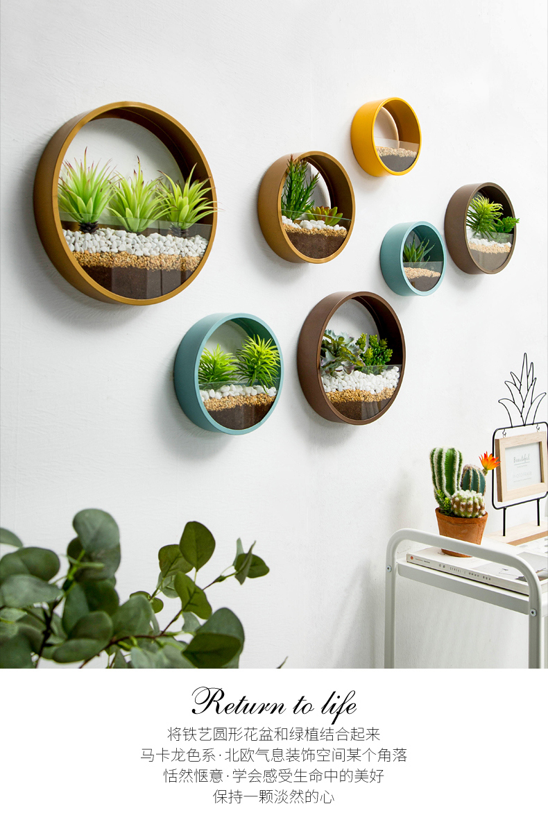 北欧创意墙壁装饰品挂件店铺墙上花盆饭店绿植盆栽壁挂花挂墙植物 6个