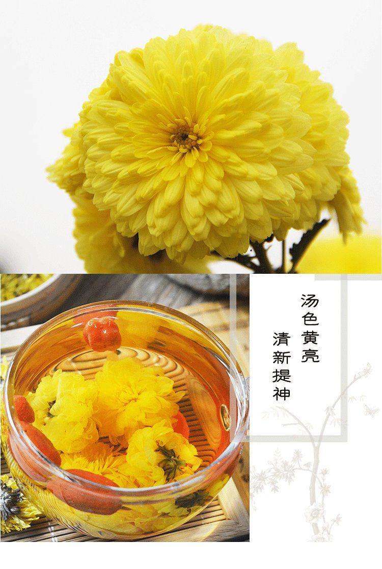 韵游菊念露菊花茶游菊花春季河南新花茶直销 100g瓶装【图片 价格