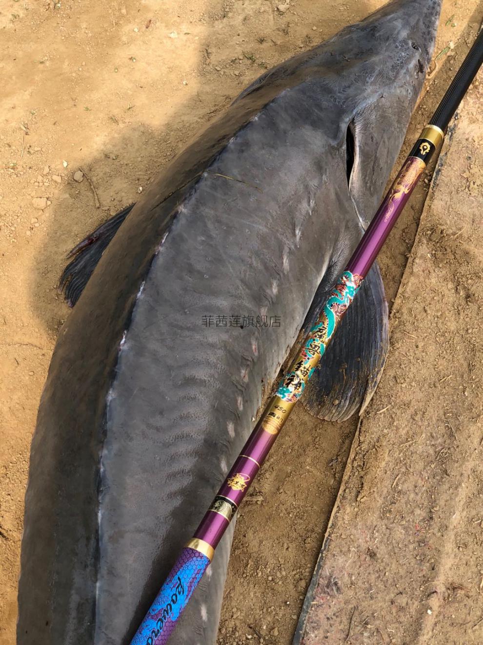 魔兽二代大物竿魔兽锚神二代巨物鱼竿大物杆暴力竿钓鱼竿66米黑坑鲟