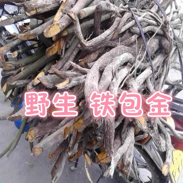 中药材铁包金福建野生老鼠耳乌龙根勾儿茶不是藤纯根干货250克