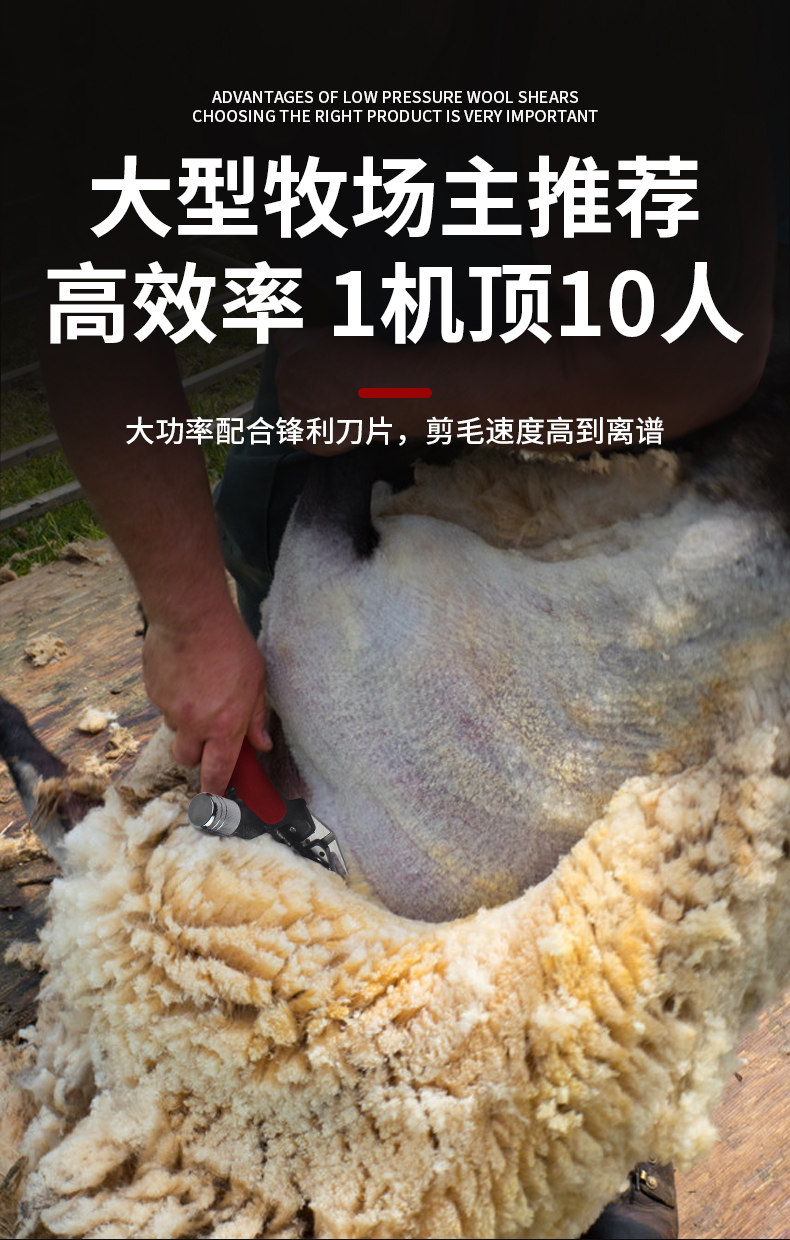 艾尔驰电动羊毛剪羊毛推子无刷电机羊毛剪刀低压大功率羊毛剪刀剃羊毛