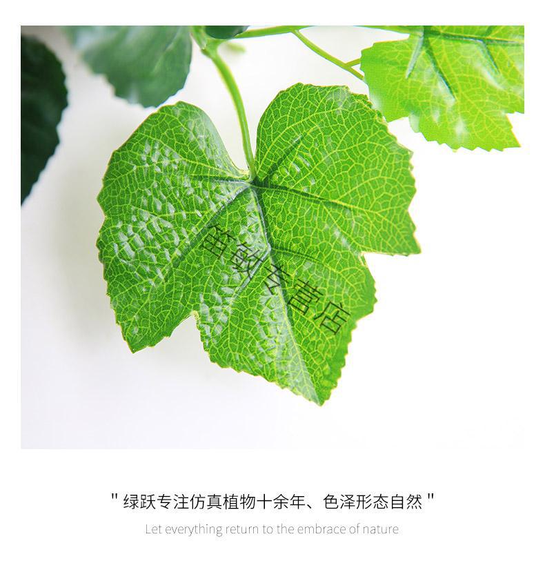 纤雅洁仿真葡萄叶绿藤条藤蔓植物树叶管道吊顶装饰花藤假花塑料绿叶