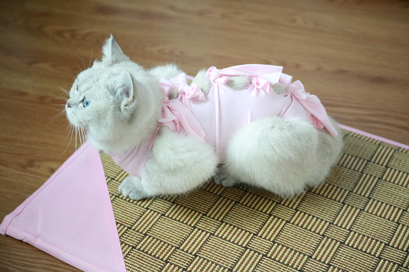 尤克达蒂猫咪绝育服猫咪母猫绝育服手术服断奶衣服棉布透气夏季薄宠物