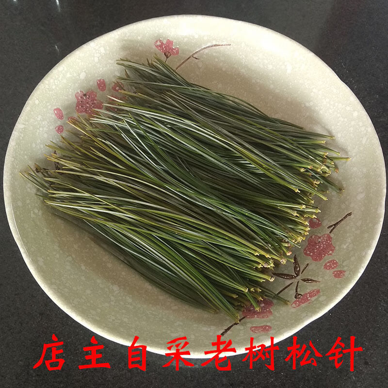 长白山百年红松新鲜松针五针红松松针茶松针粉马尾松针叶一斤新鲜松针