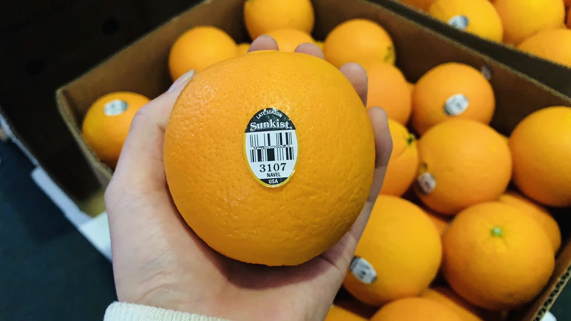 新奇士sunkis黑标3107橙子12礼盒装美国进口脐橙当季精品大果