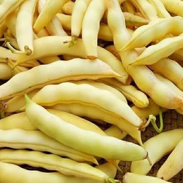 豆角鼓豆豆角勾勾黄红金钩油豆角东北豆角空运 黄金钩鲜豆角2斤【图片