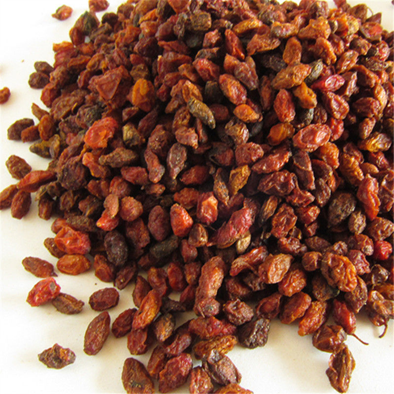 野生沙棘果干果中药新疆沙棘干大果沙荆果刺果沙棘子酸刺泡水 沙棘