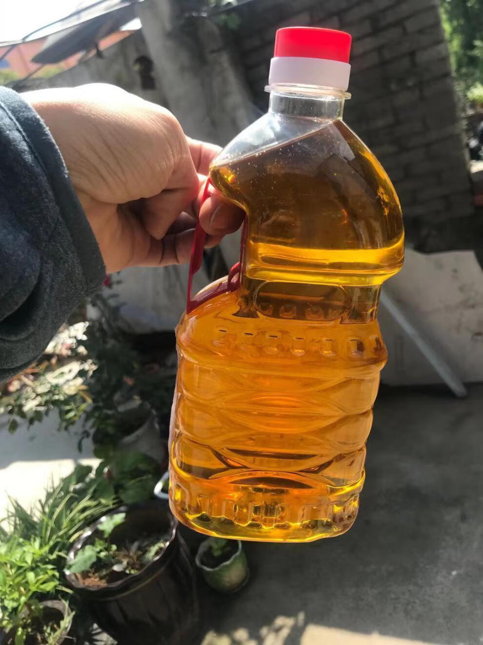 纯瓜子油葵花籽油无添加批发5升小瓶1升一级农家自榨体验装河南南阳1l