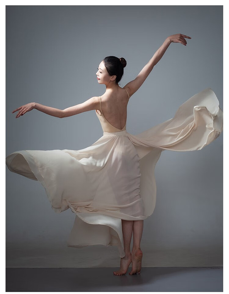 中国舞蹈服成人女古典舞飘逸720度大摆裙写真舞蹈半身裙现代舞蹈民族